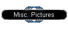 Misc. Pictures